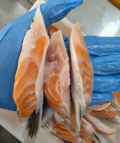 Alternative view of ครีบแซลม่อน