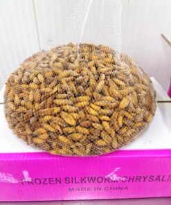 หนอนไหม ดักเเด้ กล่องชมพู 10 kg