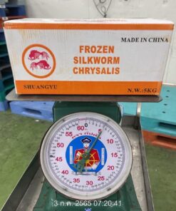 Alternative view of หนอนไหม ดักเเด้ ตรา ปลาทอง  5 kg
