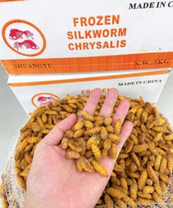 หนอนไหม ดักเเด้ ตรา ปลาทอง  5 kg